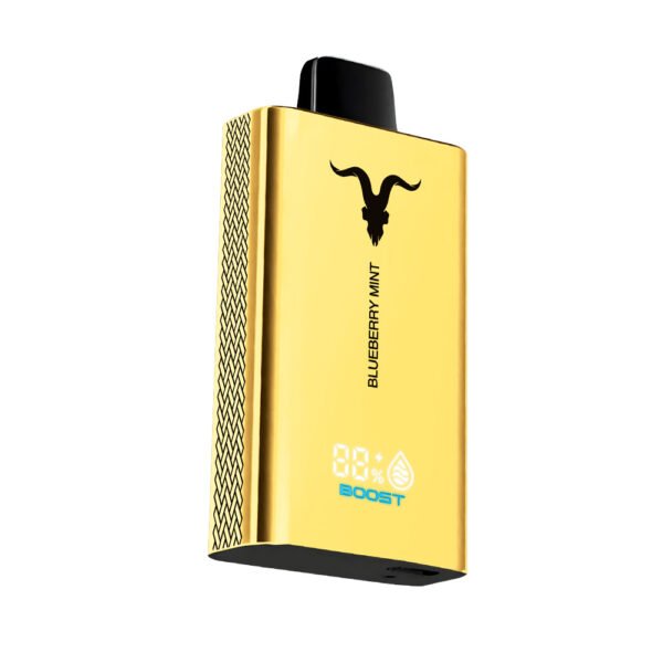 IGNITE V120 PRO GOLD BLUEBERRY MINT