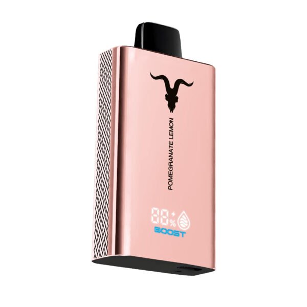 IGNITE V120 PRO ROSE POMEGRANATE LEMON