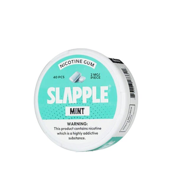SLAPPLE CHEWING MINT BBG 2MG 40PCS