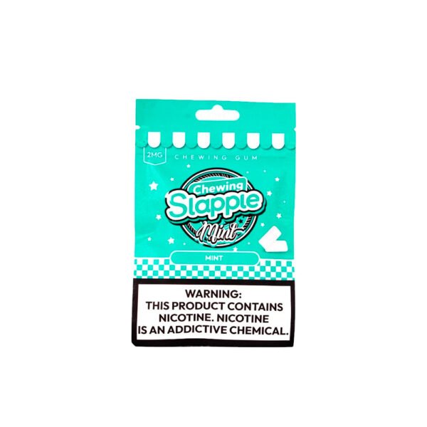 SLAPPLE CHEWING MINT BBG 2MG 20PCS