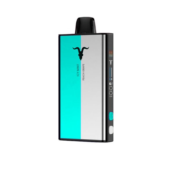 IGNITE V400 V-MIX ICY MINT + PEACH GRAPE