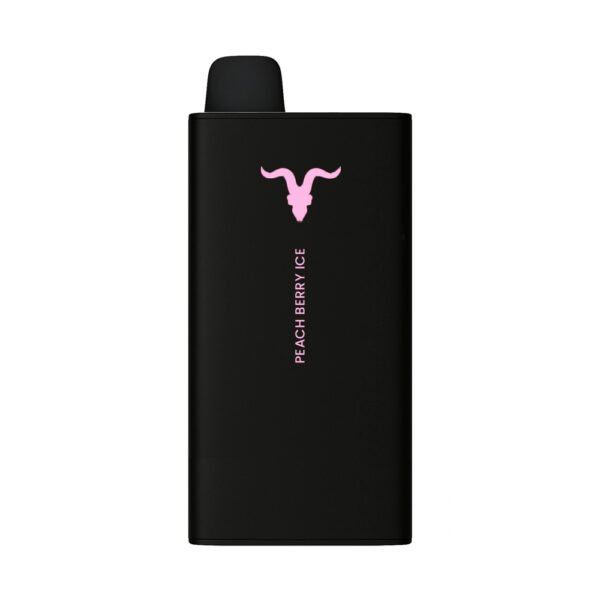 IGNITE V400 SWEET PEACH BERRY ICE