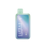 ELFBAR BC 10000 SE BLUEBERRY MINT