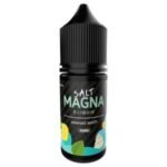 MAGNA SALT 30ML ANANAS MINTY >