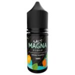 MAGNA SALT 30ML DOUBLE MANGO MINT >>>