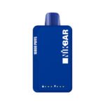 NIKBAR 10000 BLUEBERRY RASPBERRY