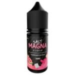 MAGNA SALT 30ML WATERMELON GUM >