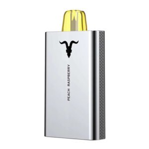 IGNITE V50 SILVER PEACH RASPBERRY