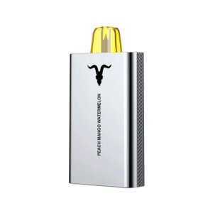 IGNITE V50 SILVER PEACH MANGO WATERMELON